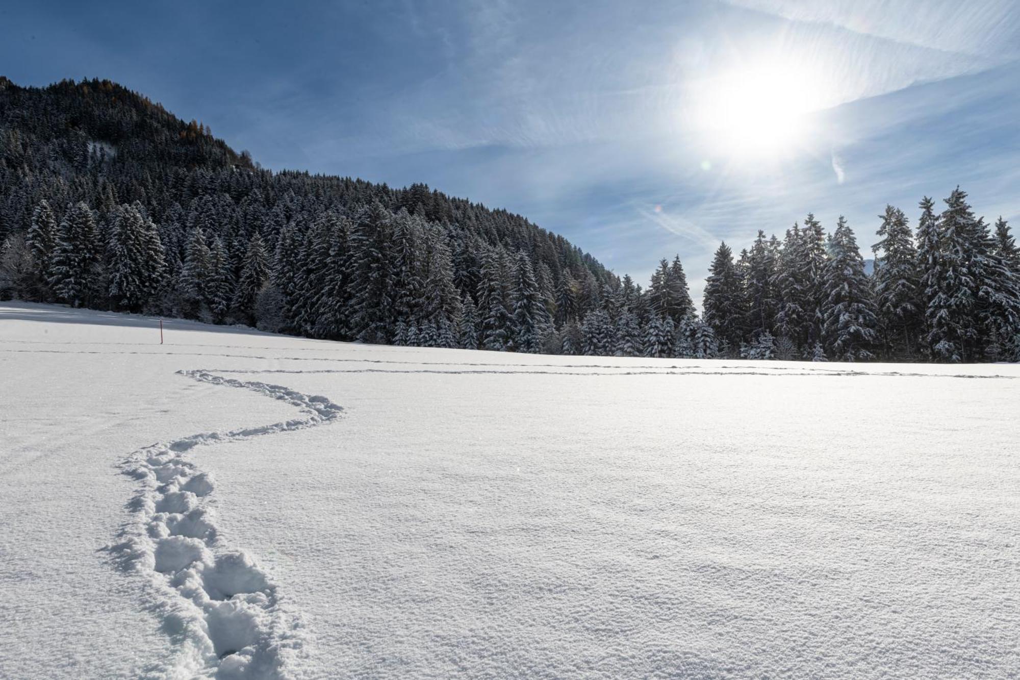 Auszeit Apartments Oberau Bagian luar foto